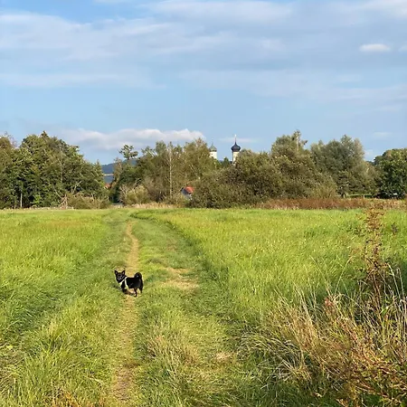 Moderner Altstadttraum *