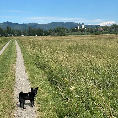 Moderner Altstadttraum * Isny im Allgäu