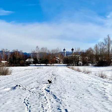 Apartment Moderner Altstadttraum