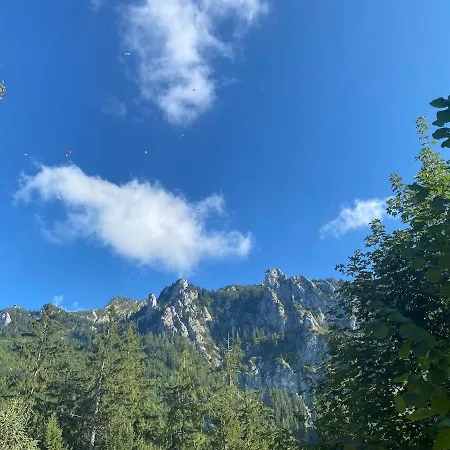 Moderner Altstadttraum Apartment