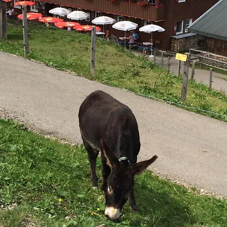 Apartment Moderner Altstadttraum *
