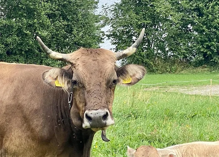 アパート Moderner Altstadttraum