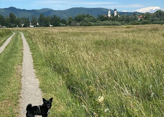 Moderner Altstadttraum * イスニー・イム・アルゴイ